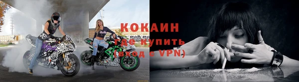 индика Абаза