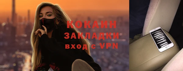 индика Абаза