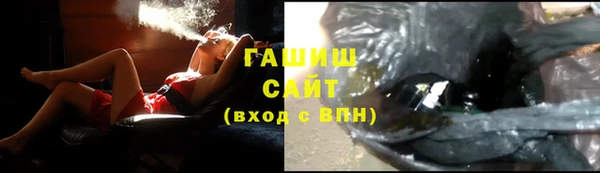 индика Абаза