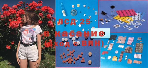 индика Абаза