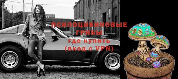индика Абаза
