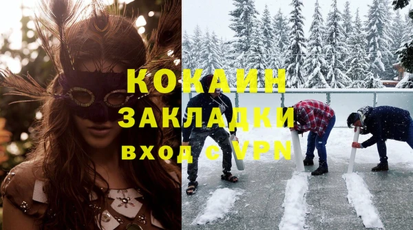 индика Абаза