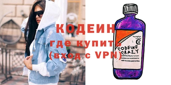 индика Абаза