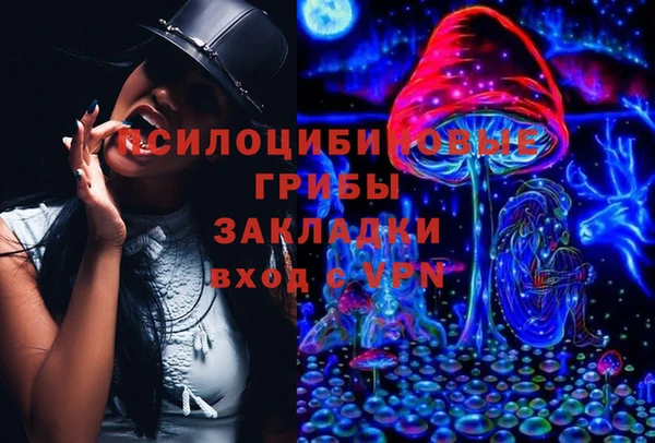 индика Абаза